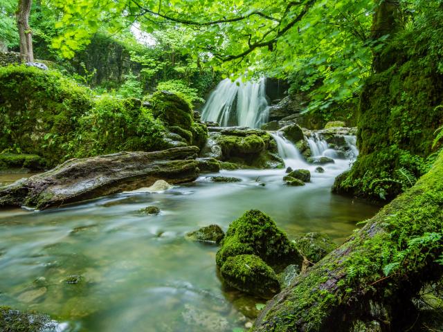 Beautiful Cascade Creek 460621
