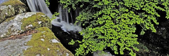 Cascades des Jarrauds à St Martin Château
