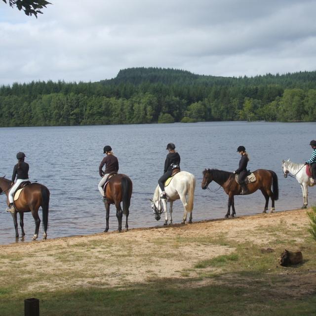 Randonnée à cheval - La Creuse