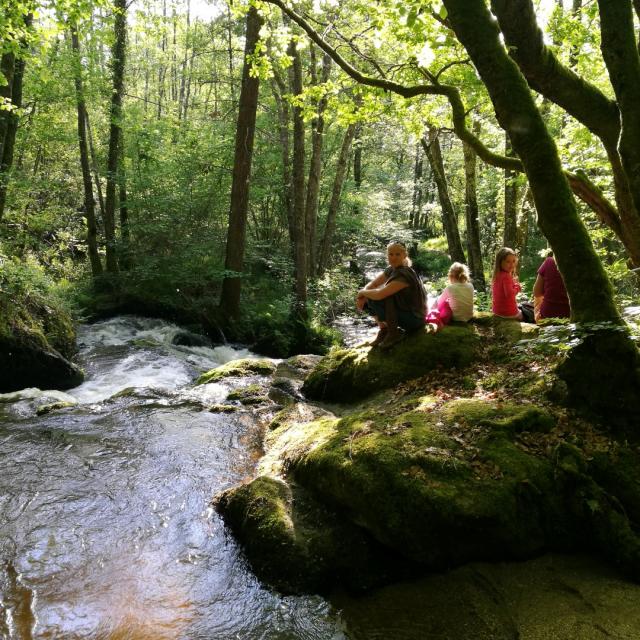 Randonnée Le Bois Des Boeufs