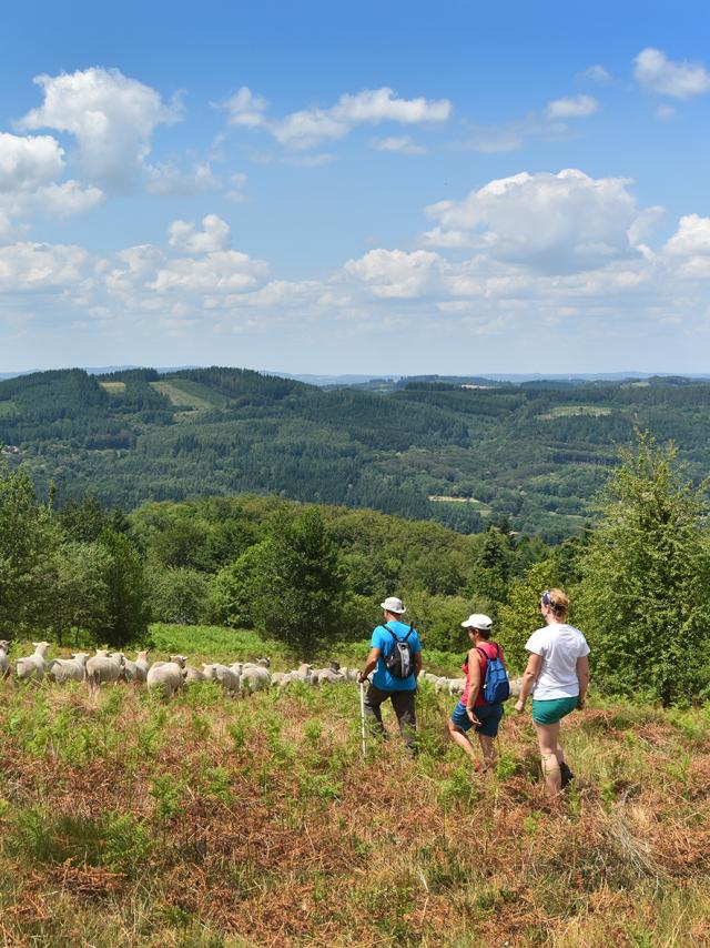 Randonnée dans les landes d'Augerolles