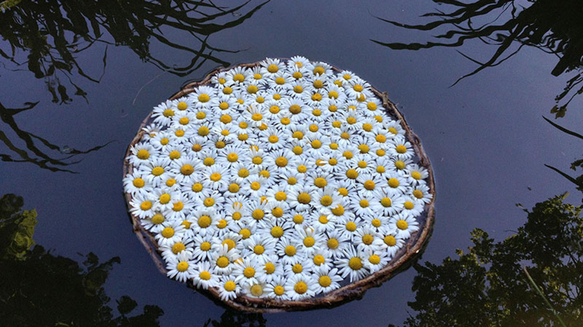 Marc Pouyet landart Creuse