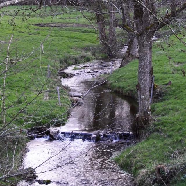 Ruisseau Verreau