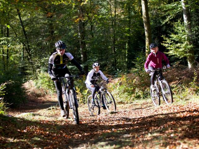 Vtt Descente Mont De Guéret©m. Anglada, La Creuse
