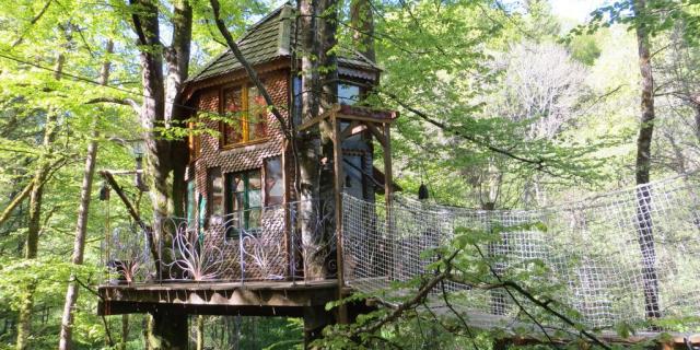 Cabane Arbres 18