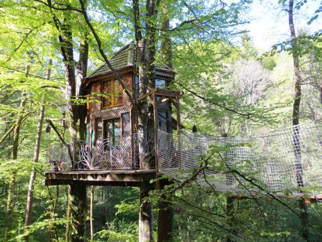 Cabane Arbres 18
