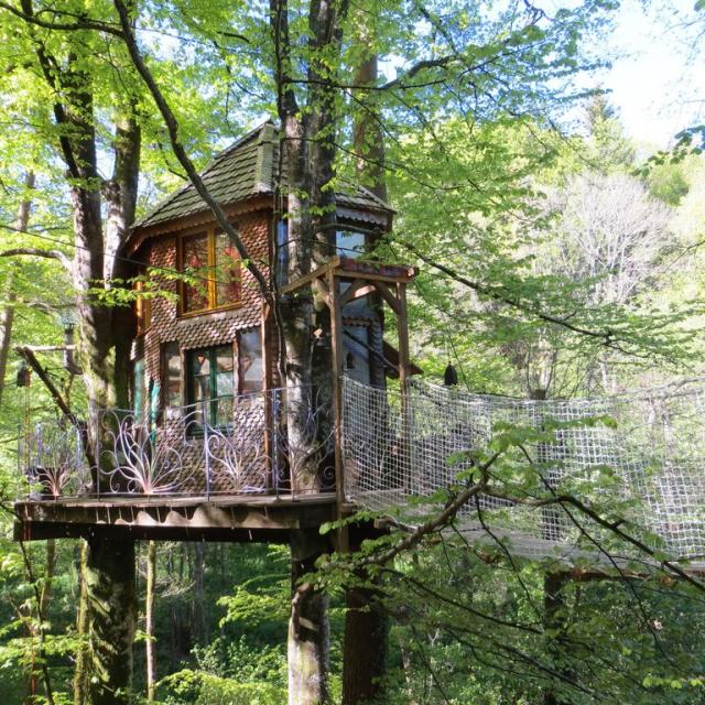 Cabane dans les arbres