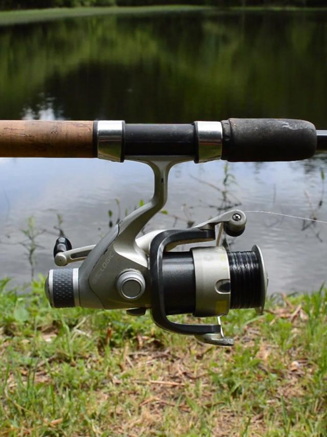 Canne à pêche, pêche en Creuse