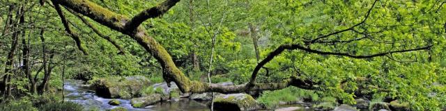 Vallée Du Thaurion