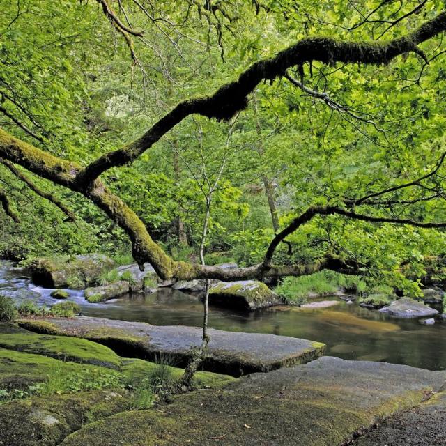 Vallée Du Thaurion