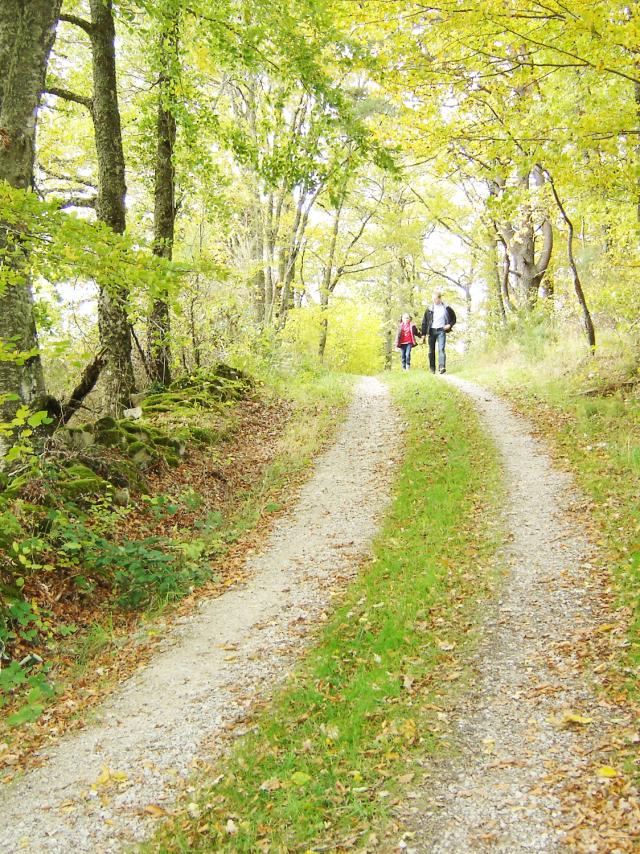 100 Randonnee ©aubusson Felletin Tourisme