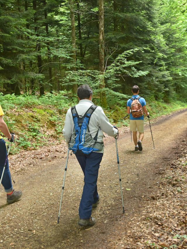 Forêt d'Épagne - Creuse Sud Ouest