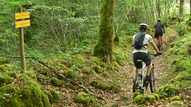 Forêt d'Épagne - Creuse Sud Ouest
