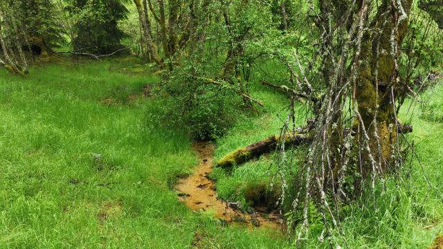 Landes et tourbières de la Mazure