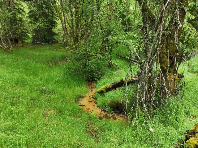 Landes et tourbières de la Mazure