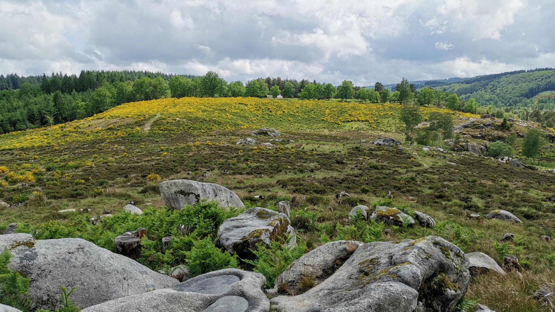 Landes et tourbières de la Mazure