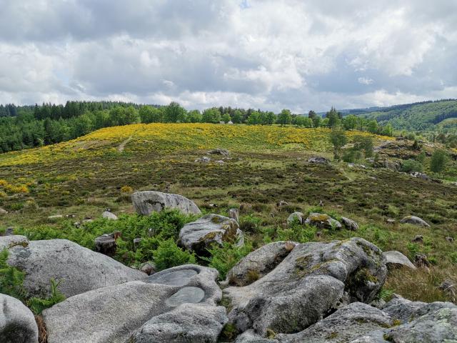 Landes et tourbières de la Mazure