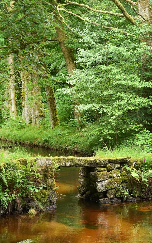 Site de la cascade des Jarrauds-VTT et rando-Syndicat Mixte du Pays Sud Creusois-02/07/2016