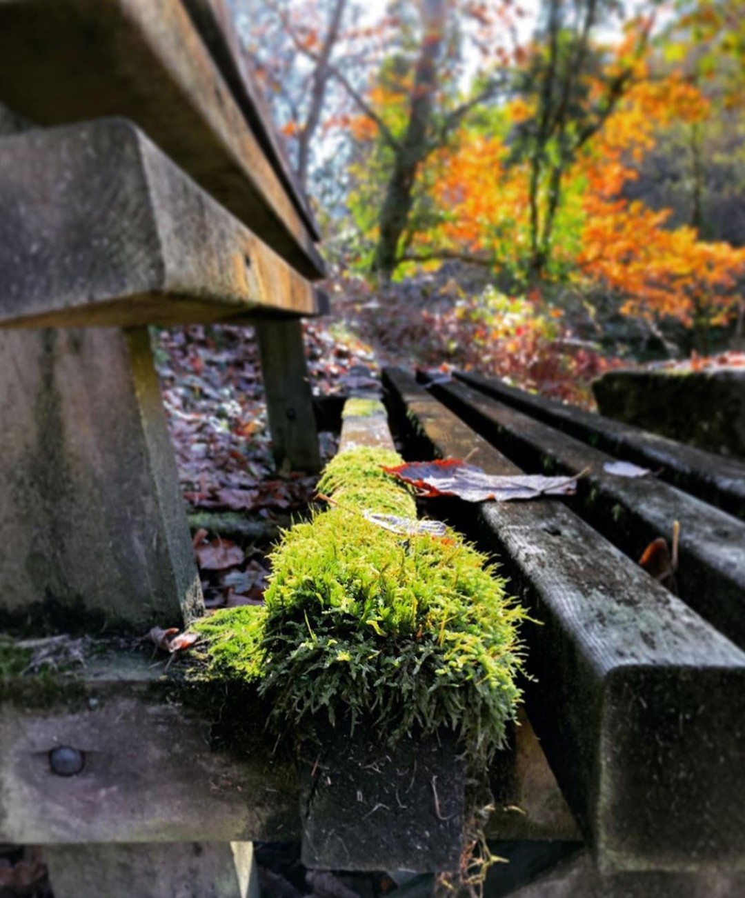 Instagram #ilovecreuse