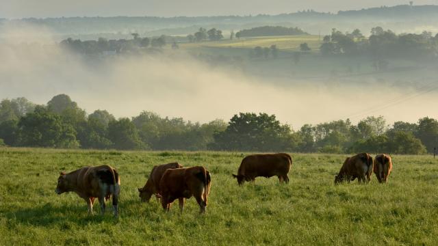 Ahun et sa région