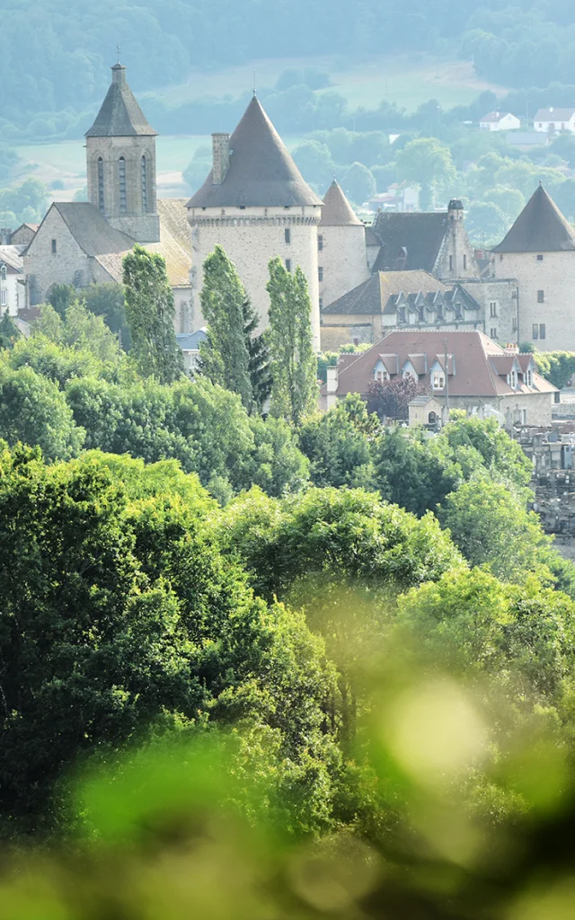 Vue générale de Bourganeuf