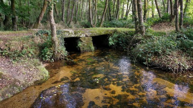 Pont planche les cascades d'Augerolles