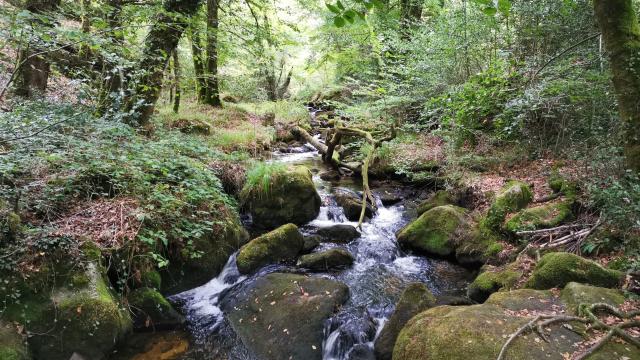 Cascades d'Augerolles