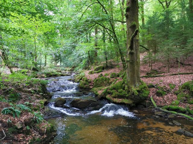 Les cascades d'Augerolles