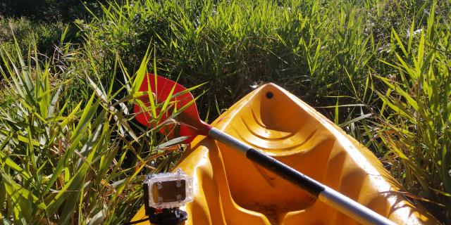 Descente de la Maulde en kayak