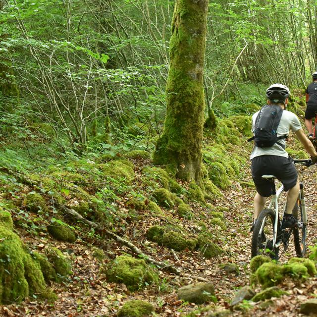 VTT en Creuse