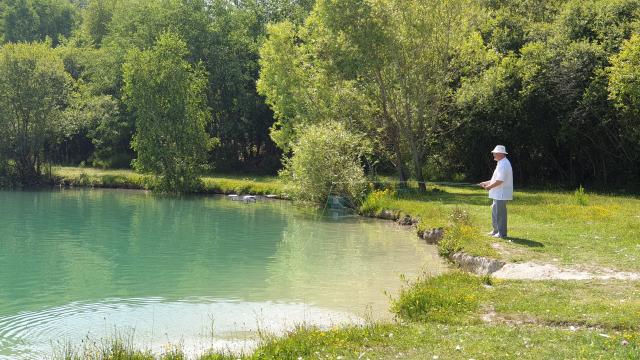 Grand Champ Reportage Avec Saison D'or 2019 (7)