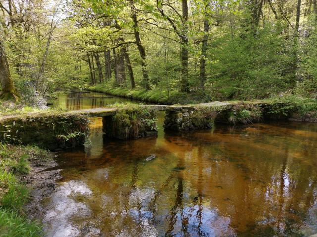 Pont Planche Saint Martin Château