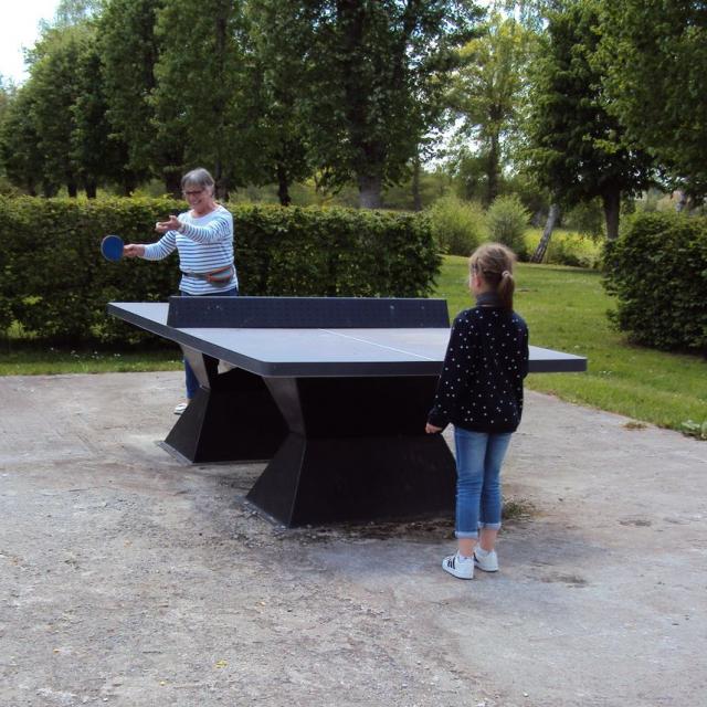 Ping Pong Gzn