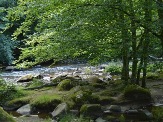 Rivière en Creuse