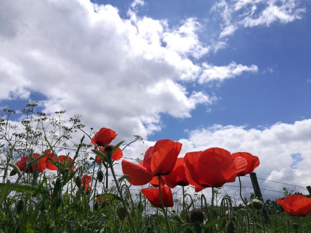 Campagne creusoise