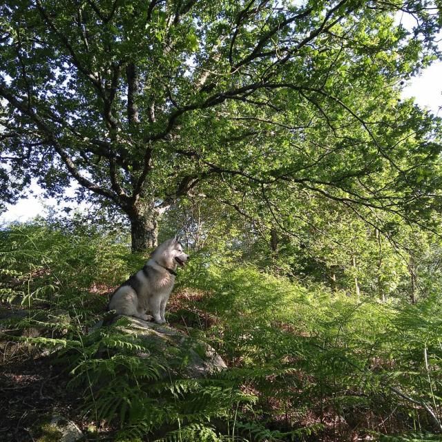 Instagram #ilovecreuse