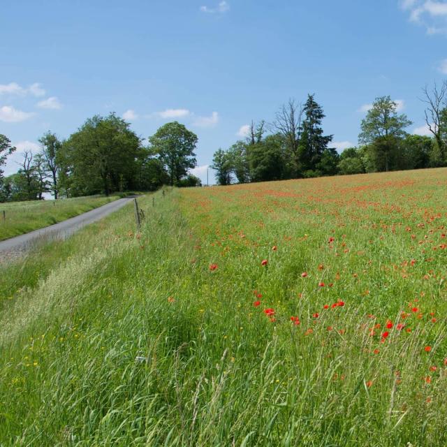 Instagram #ilovecreuse