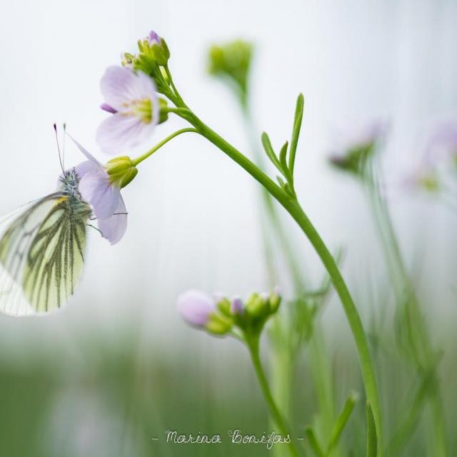 Instagram #ilovecreuse