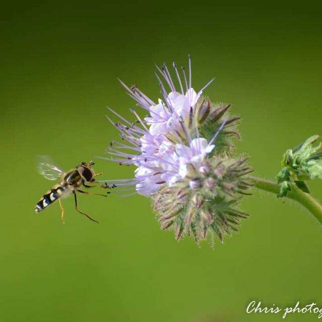 Instagram #ilovecreuse