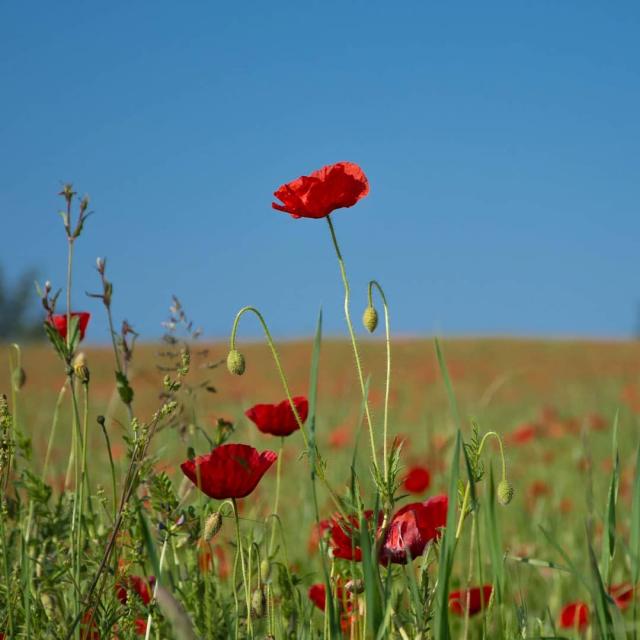 Instagram #ilovecreuse