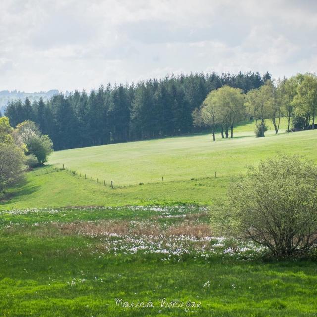 Instagram #ilovecreuse