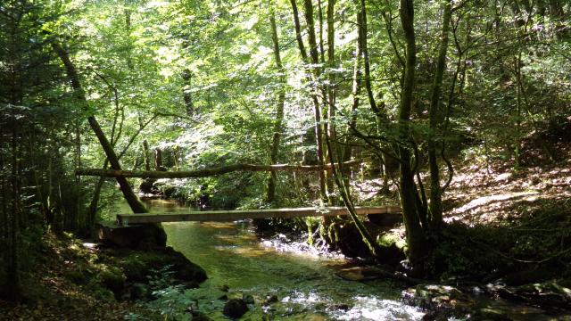 Circuit la roche branlante