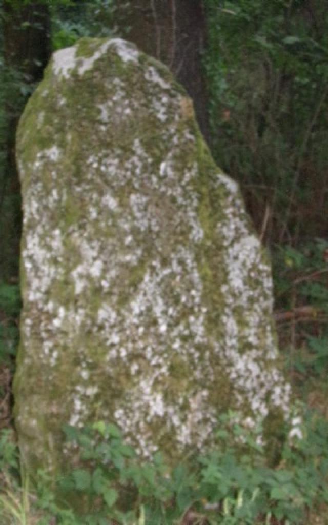 Le menhir des Clides