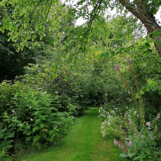 Jardin dans la Sagne - la Creuse