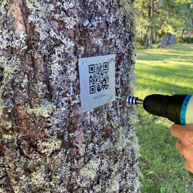 qr-code-terra-aventura.jpg