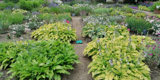 Domaine de Banizette - Jardin en Creuse