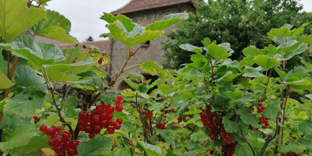 Domaine de Banizette - Jardin en Creuse