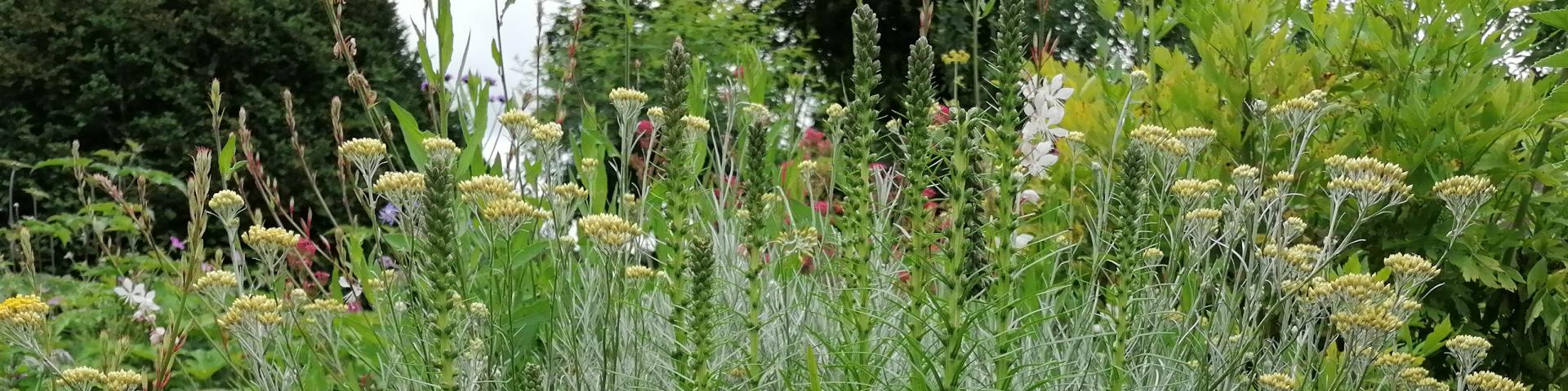 Domaine de Banizette - Jardin en Creuse