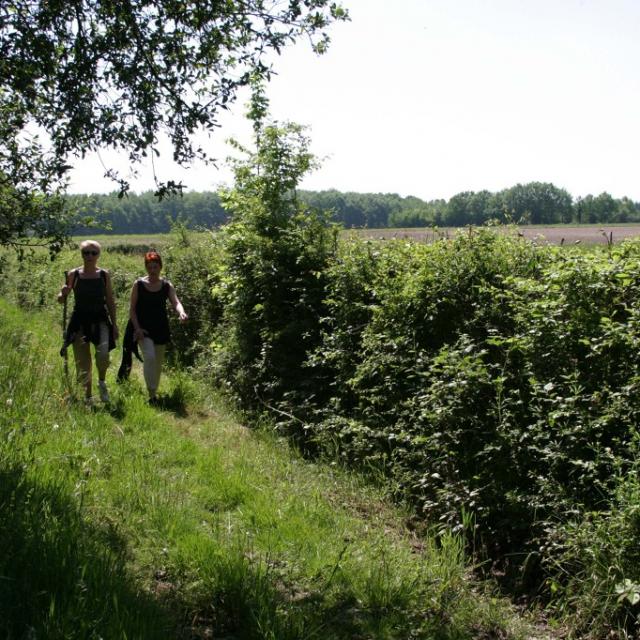 Randonnée en Creuse ©M.Villejoubert- MTijeirase