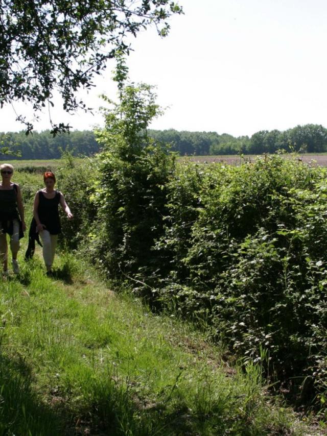 Randonnée en Creuse ©M.Villejoubert- MTijeirase